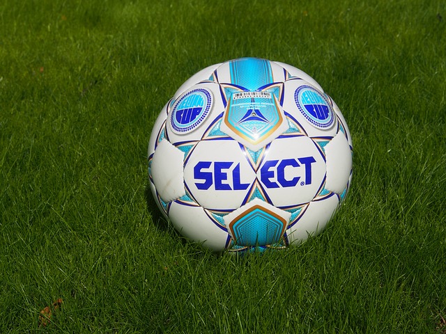 果的关键 果的关键