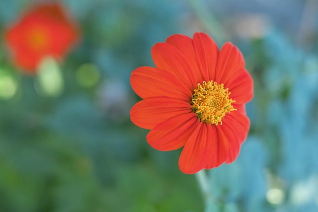 组合的表现 组合的表现