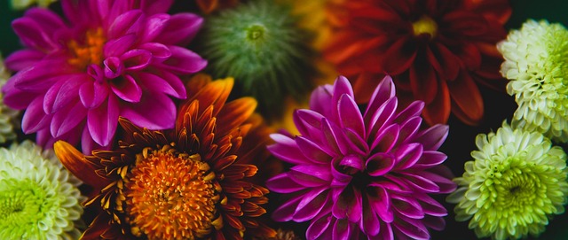 尔德联的比 尔德联的比