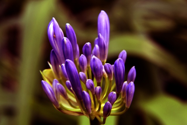 何利用平台 何利用平台