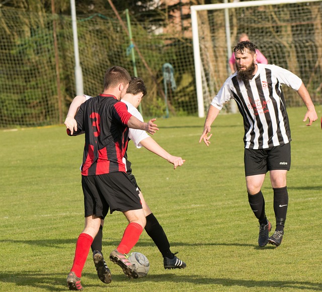 老鹰能学 老鹰能学