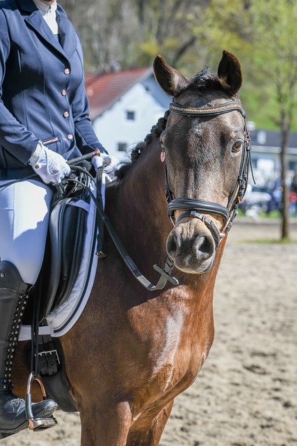 确实需要非 确实需要非