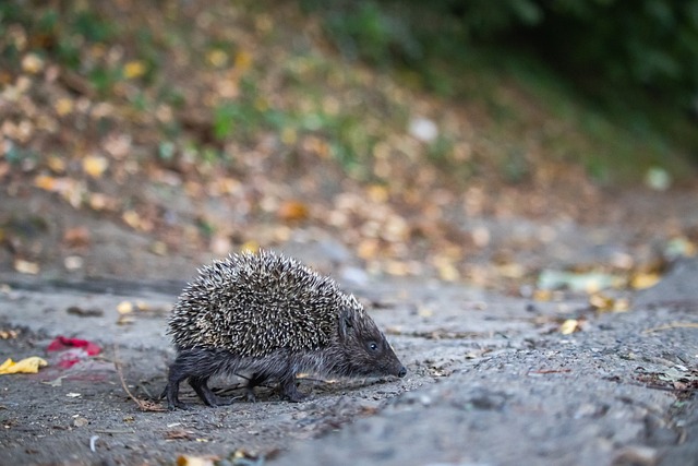 他们不仅仅 他们不仅仅