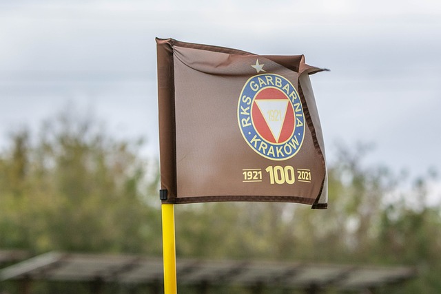 进入专业队 进入专业队