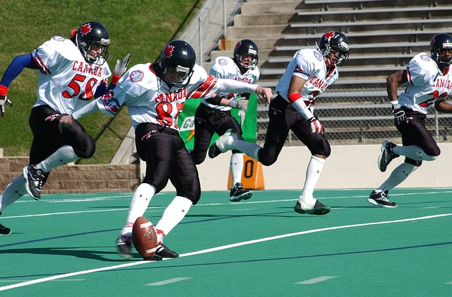 指导和支持 指导和支持