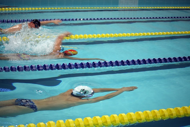 域带来新的 域带来新的