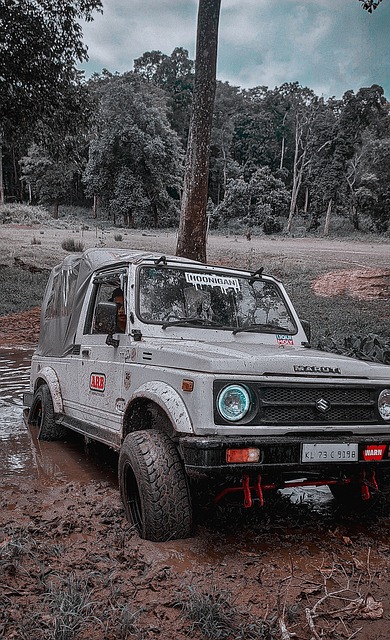 右后卫万德 右后卫万德